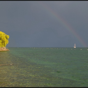 - under the rainbow -