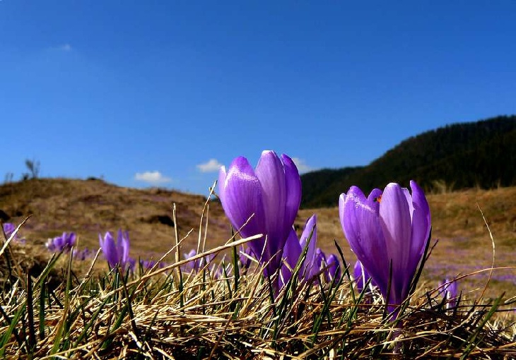 Балкански красоти
