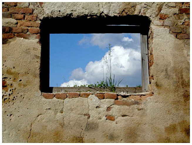window