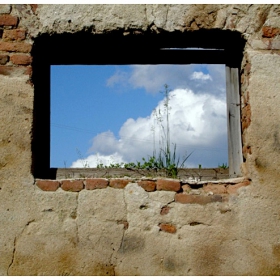 window