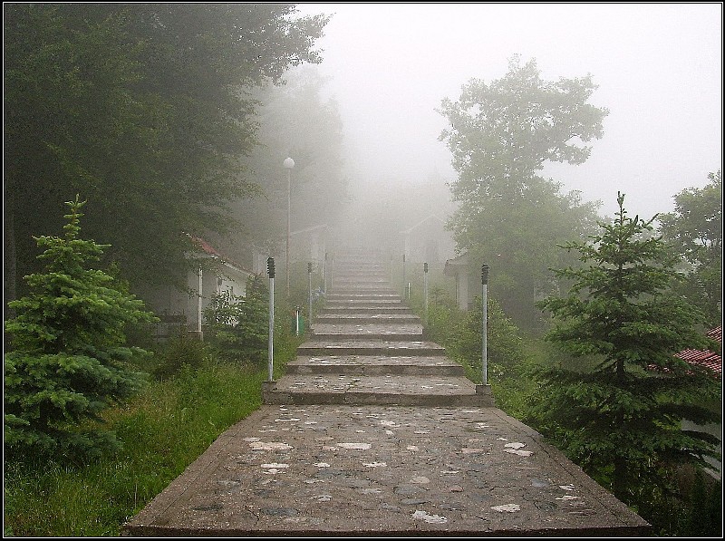 Кръстова гора - дъжд, мъгла и мистичност