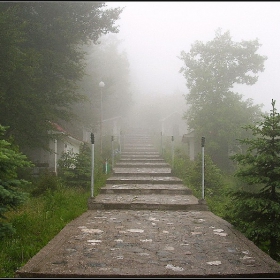 Кръстова гора - дъжд, мъгла и мистичност