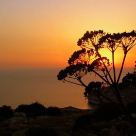 Maltese sunset