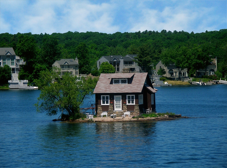 The Lonely House
