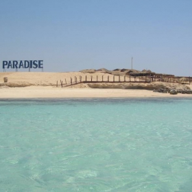 Paradise island/Red sea/