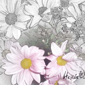 seriq hexie_yoow