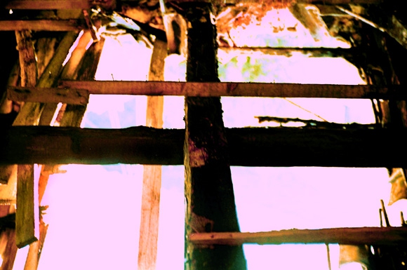 Crosses of unity