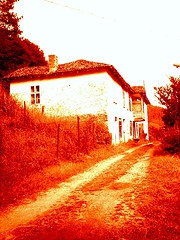 Bulgarsko celo