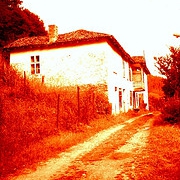 Bulgarsko celo