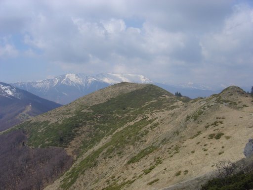 слизане