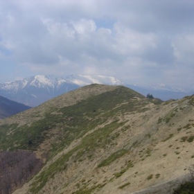 слизане