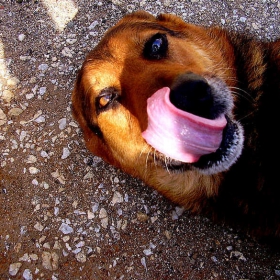 U make me happy!