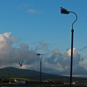 the last available street lamppost