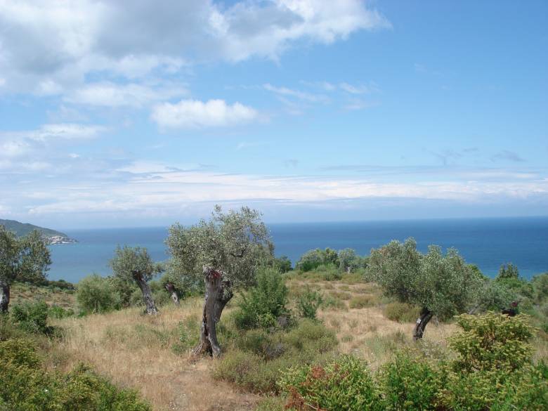 Sveta gora (Aton)