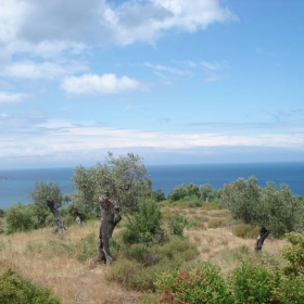 Sveta gora (Aton)