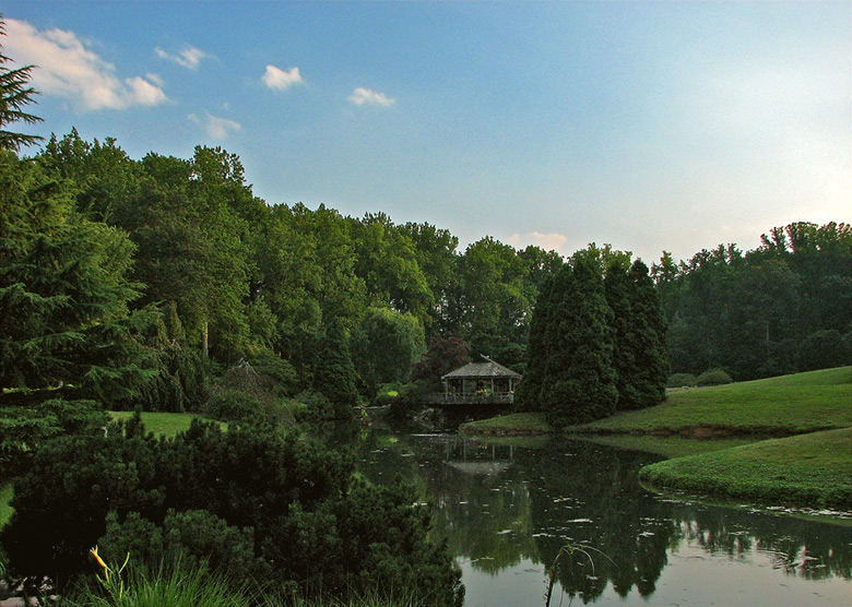 The Japanese Tea House