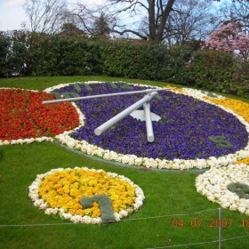 The Flower Clock