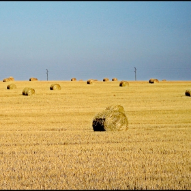 Слама