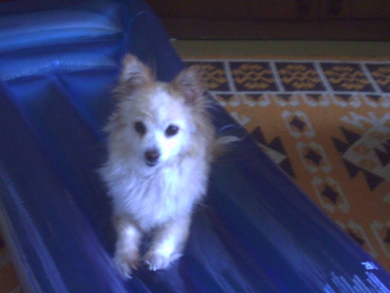 QQQ...kvo ima tam?;]]