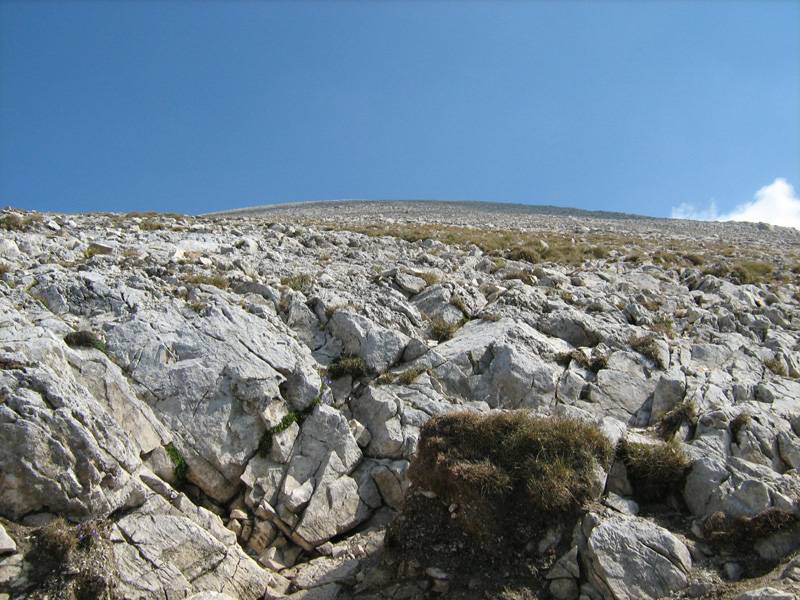 ВИХРЕН