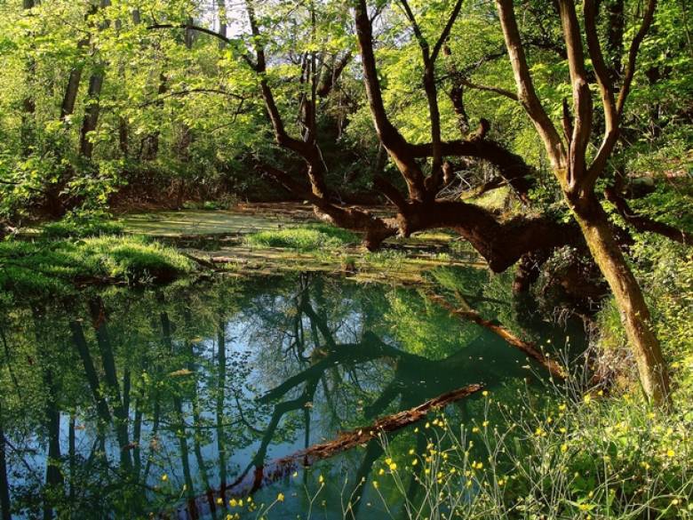 СПОКОИНИТЕ ВОДИ НА НАЙ-ДЪЛБОКИЯ ИЗВОР