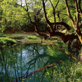 СПОКОИНИТЕ ВОДИ НА НАЙ-ДЪЛБОКИЯ ИЗВОР