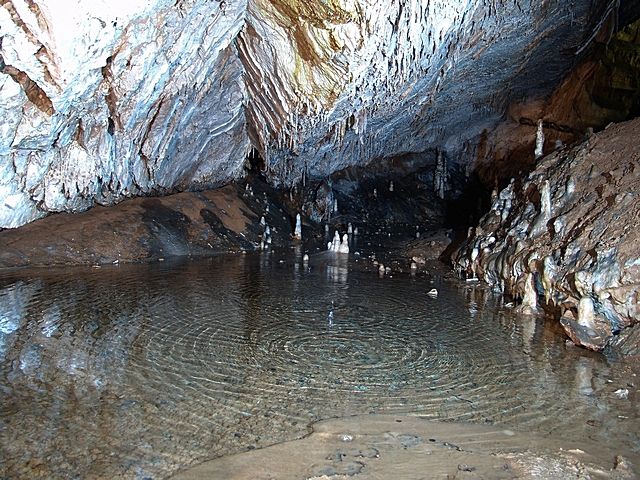 живата вода