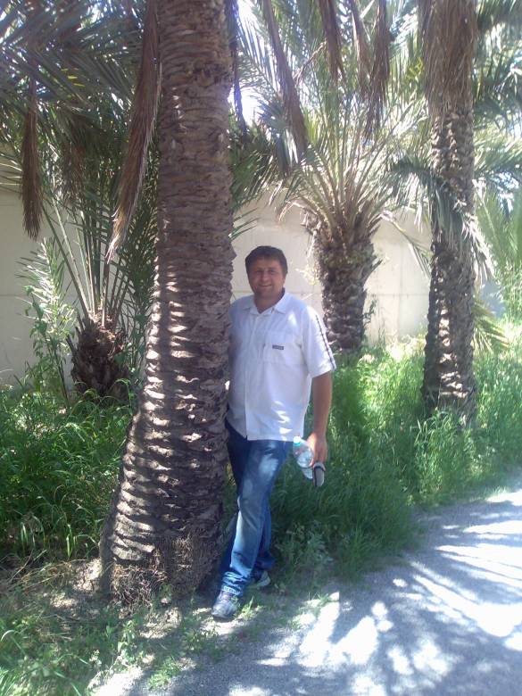 Safari Elche