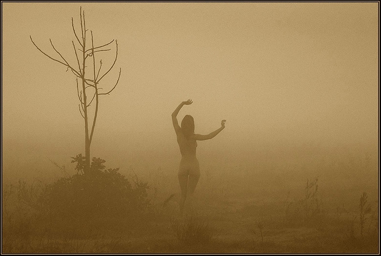 Dance in silence
