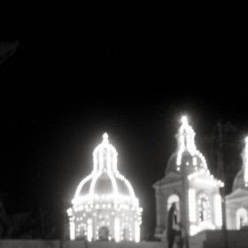 Maltese festa 8