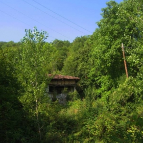 Сгушена в зелено