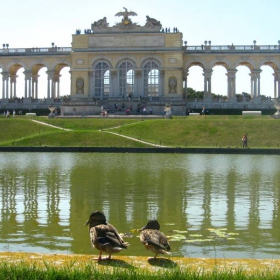 На слънце в Schönbrunn