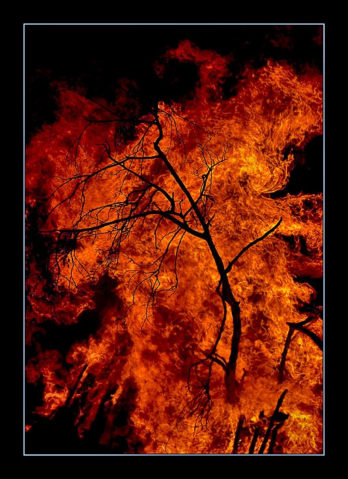 Fire
