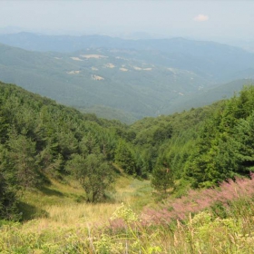 stara planina