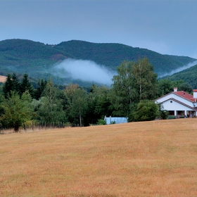 вила Мечкарев