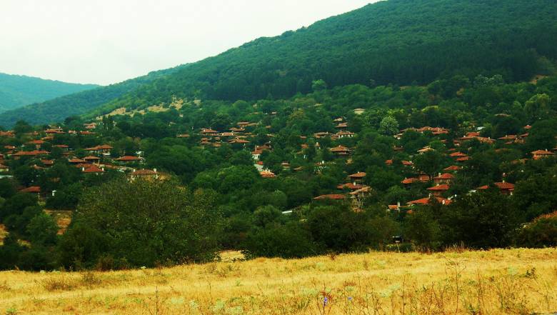 Jeravna