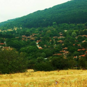 Jeravna