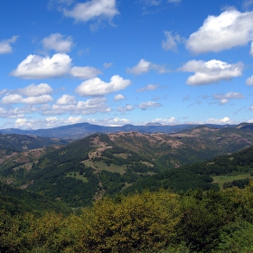 Старопланински гънки