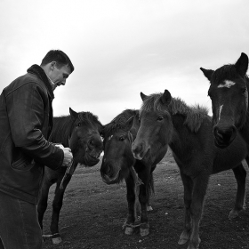 хайванчета (BW)