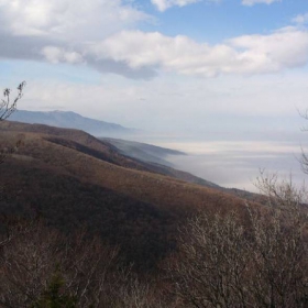 Софийски памук за търкаляне