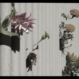 flower`s prison