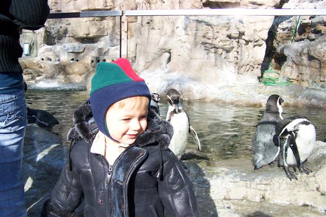 St. Louis Zoo