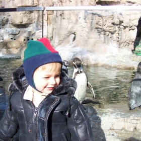 St. Louis Zoo