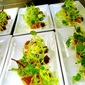 tuna starter