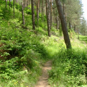 Планинска пътечка