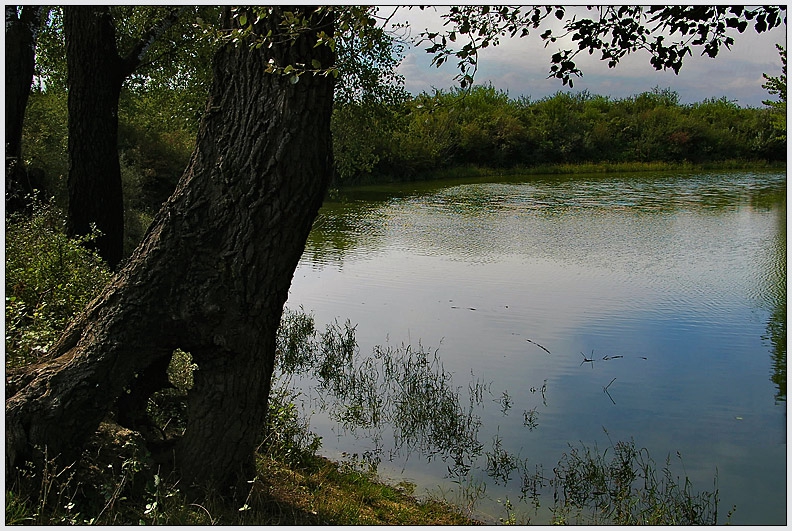 Там край реката