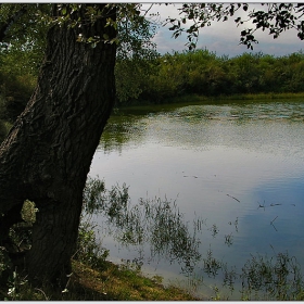 Там край реката