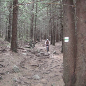 downhill