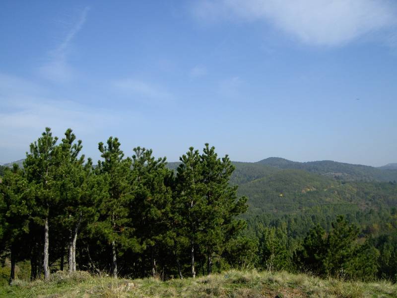 гора