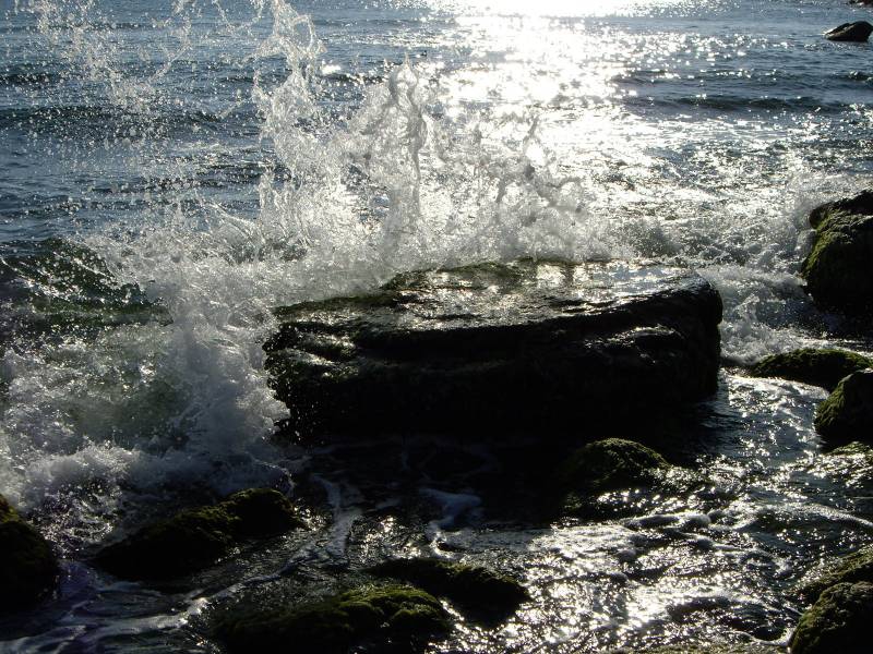 слънчевият  полет  на  водата